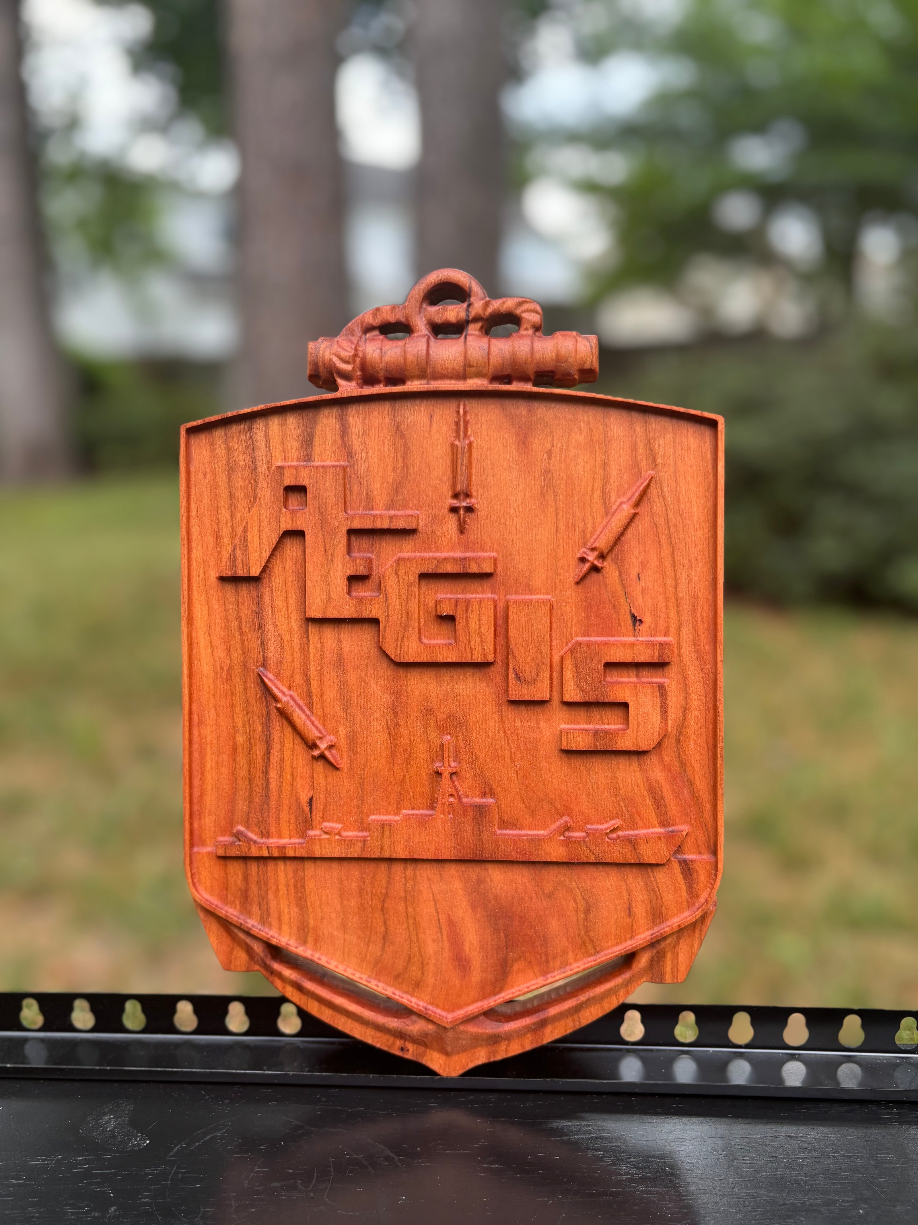 Wooden plaque of the AEGIS logo with engraved text and design on a blurred natural background